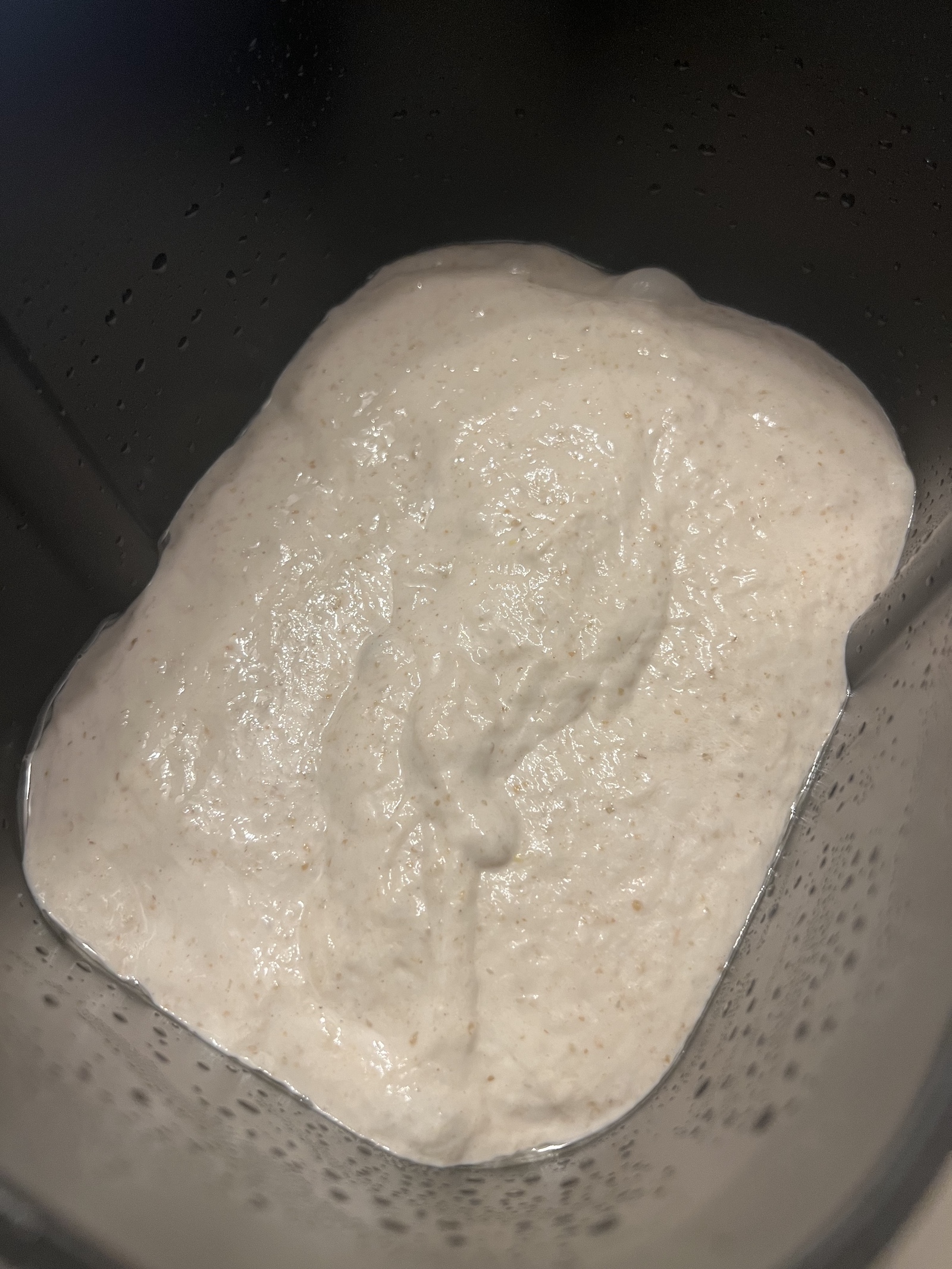 - overproved in the breadmaker